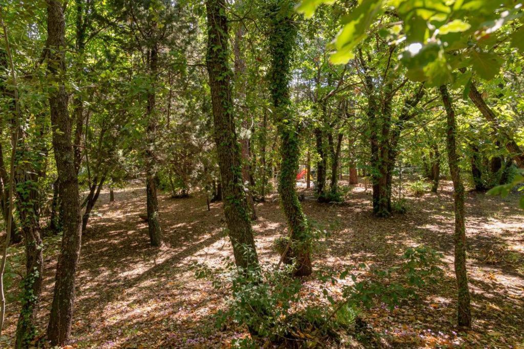 Ln Etna House-Villa Ad Uso Esclusivo Pedara Bagian luar foto